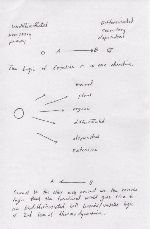 The Pattern of Reality